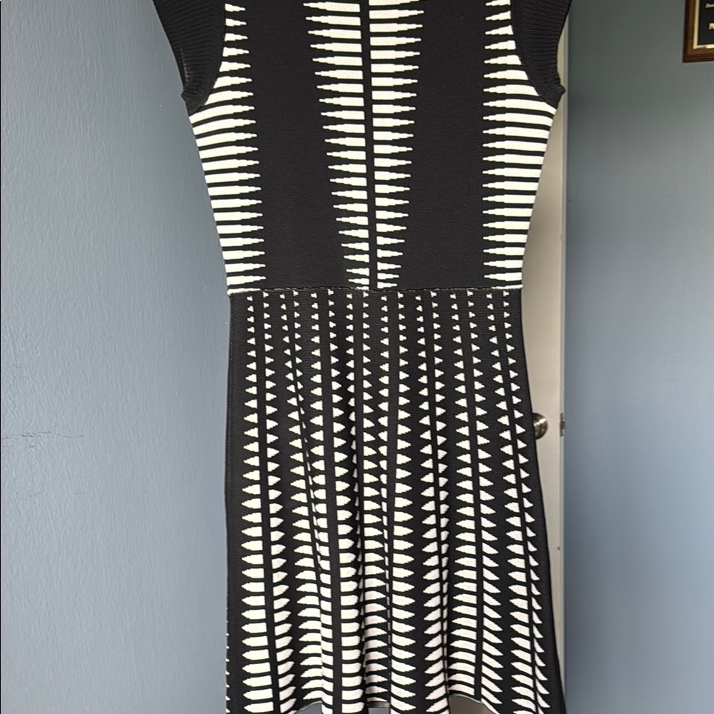 Zara Woman Black and White Patterned Dress size M